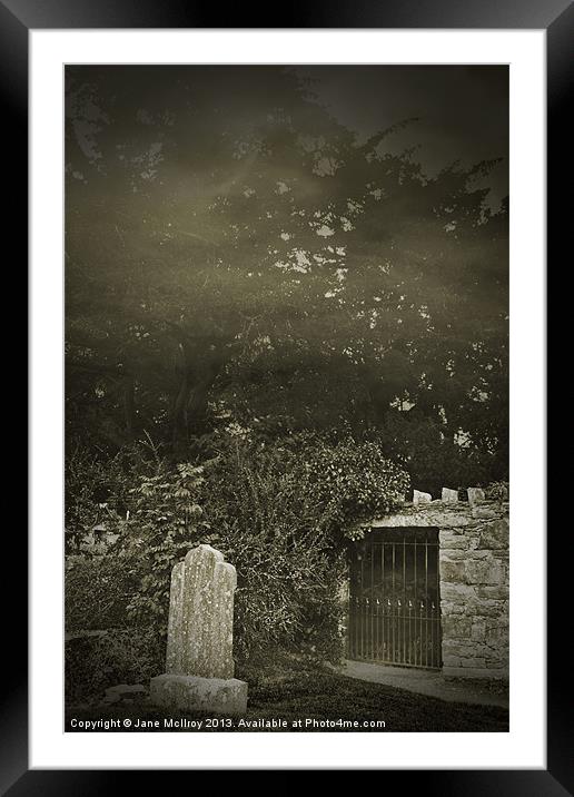 The Fortingall Yew, Perthshire, Scotland Framed Mounted Print by Jane McIlroy