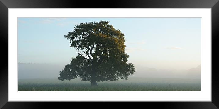 Morning Mist Framed Mounted Print by christopher darmanin