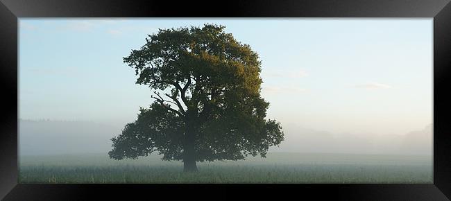 Morning Mist Framed Print by christopher darmanin
