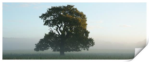Morning Mist Print by christopher darmanin