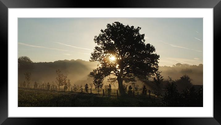 Morning Light Framed Mounted Print by christopher darmanin