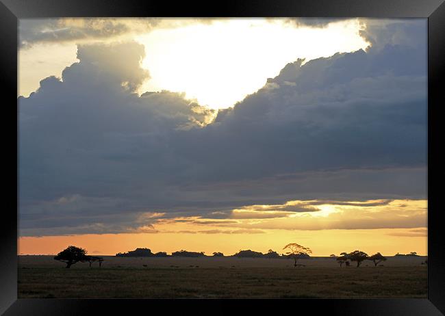 Early Morning on the Serengeti Framed Print by Tony Murtagh