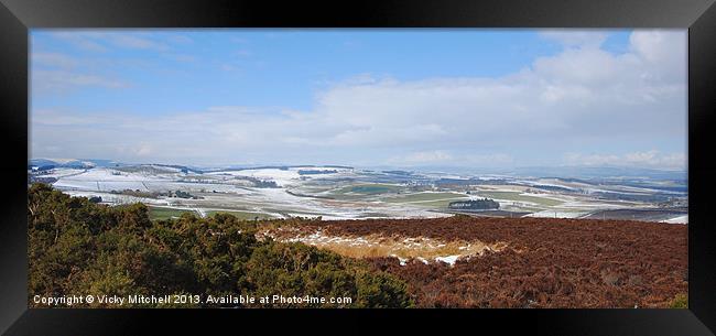 View from Brimmond Hill Framed Print by Vicky Mitchell