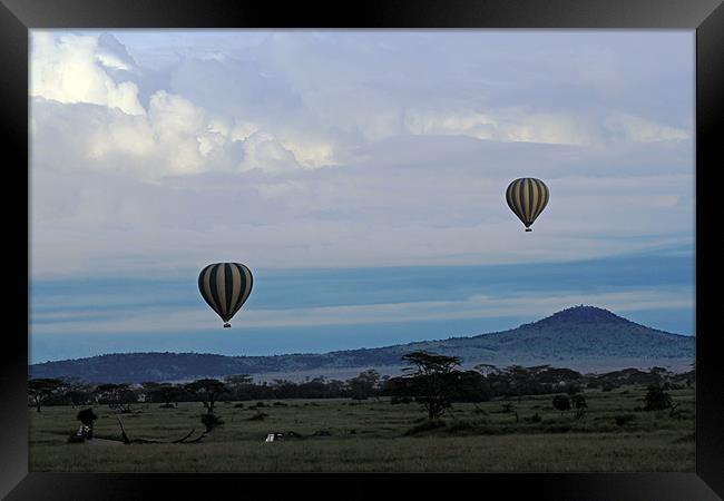 Balloons above Serengeti. Framed Print by Tony Murtagh