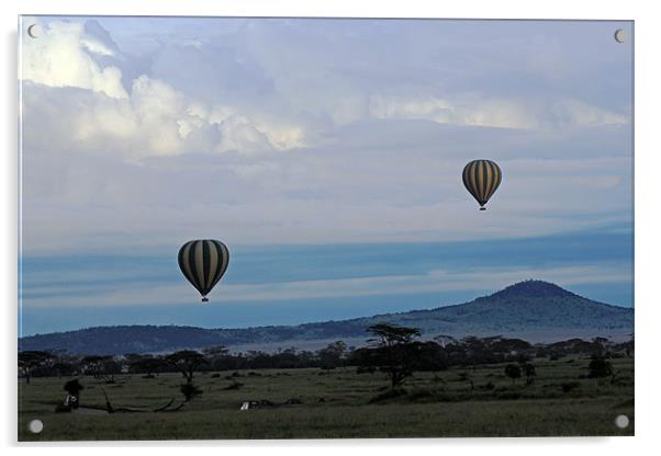 Balloons above Serengeti. Acrylic by Tony Murtagh