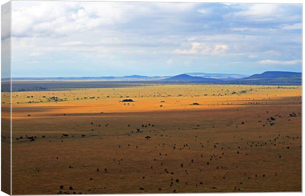 Serengeti landscape Canvas Print by Tony Murtagh