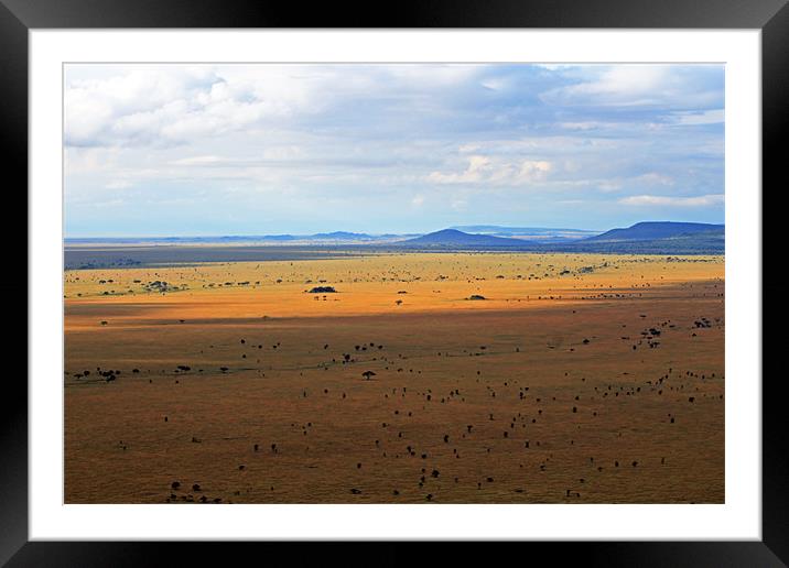 Serengeti landscape Framed Mounted Print by Tony Murtagh