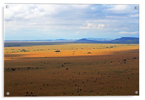 Serengeti landscape Acrylic by Tony Murtagh