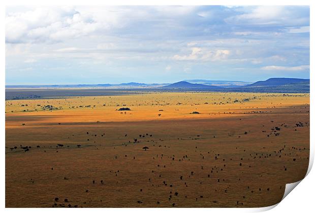 Serengeti landscape Print by Tony Murtagh