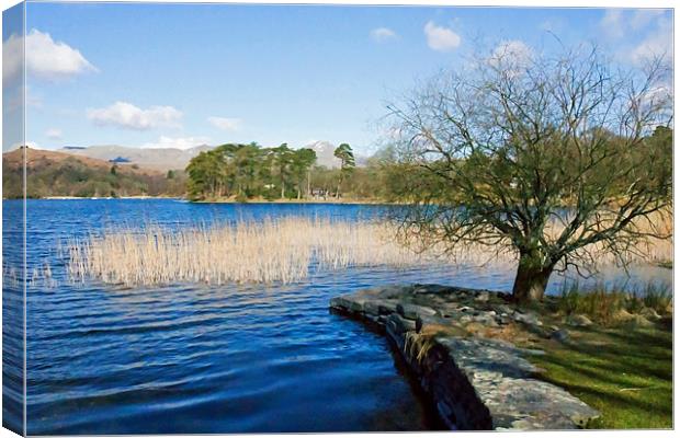 Coniston from Nibthwaite Quay Canvas Print by Tom Gomez