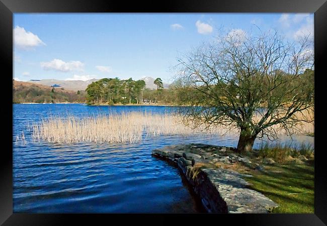 Coniston from Nibthwaite Quay Framed Print by Tom Gomez