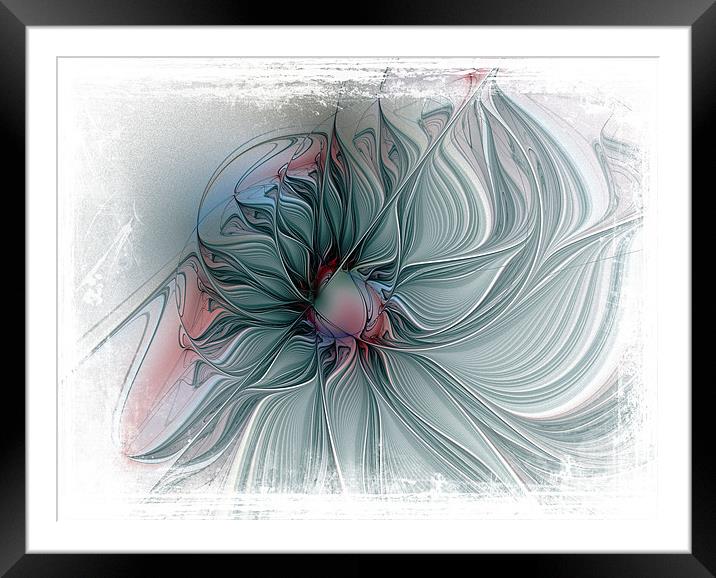 Fading Away Framed Mounted Print by Amanda Moore