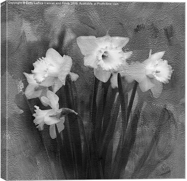 Daffodils in Black and White Canvas Print by Betty LaRue