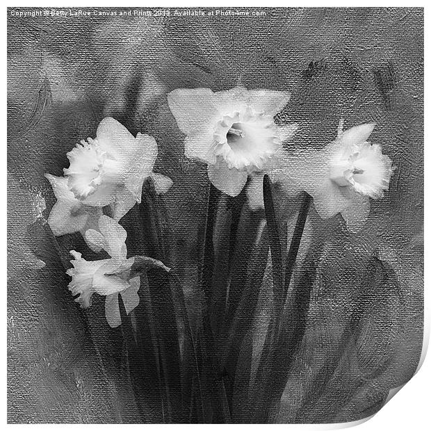 Daffodils in Black and White Print by Betty LaRue