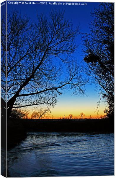 Silhouetted trees at sunset creek. Canvas Print by Avril Harris