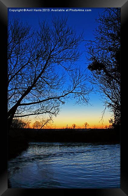 Silhouetted trees at sunset creek. Framed Print by Avril Harris