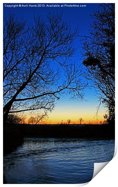 Silhouetted trees at sunset creek. Print by Avril Harris