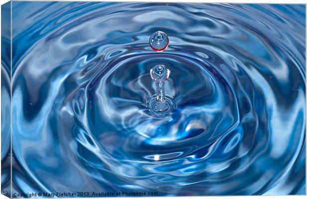 Water Drop Canvas Print by Mary Fletcher