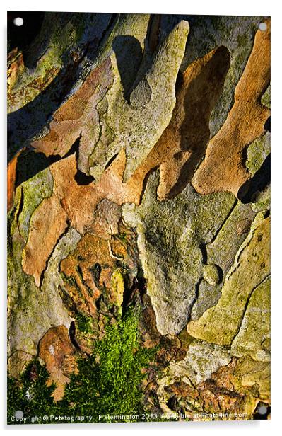 Tree bark abstract Acrylic by Pete Hemington