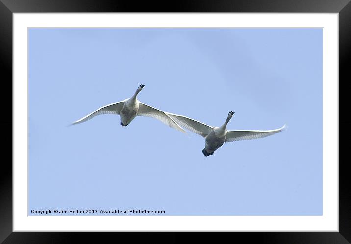 Fly Pass Framed Mounted Print by Jim Hellier