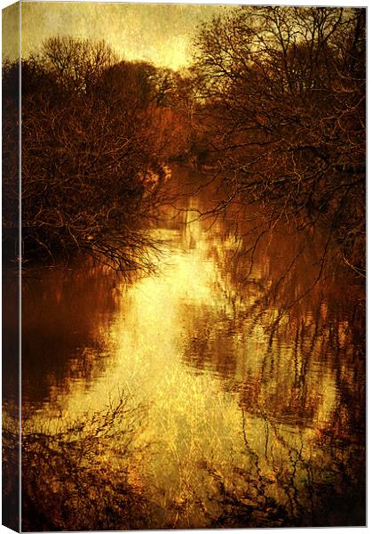 Dark Reflections Canvas Print by Dawn Cox