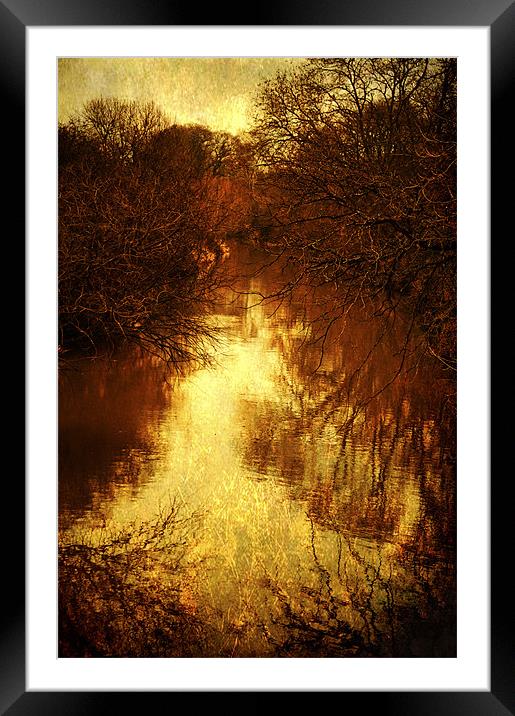 Dark Reflections Framed Mounted Print by Dawn Cox