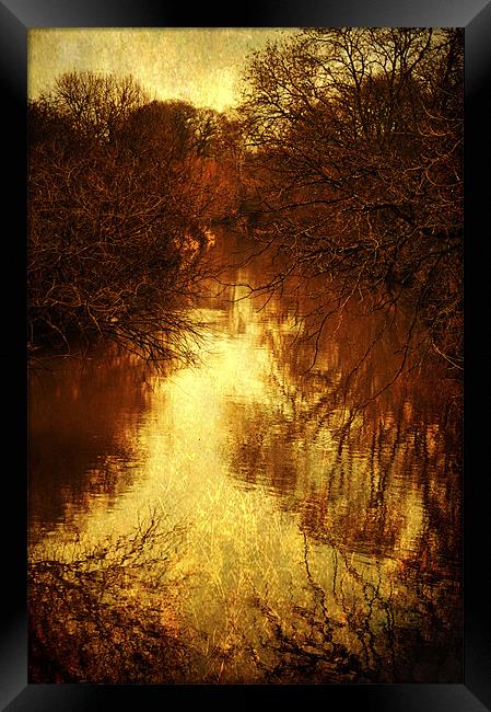 Dark Reflections Framed Print by Dawn Cox