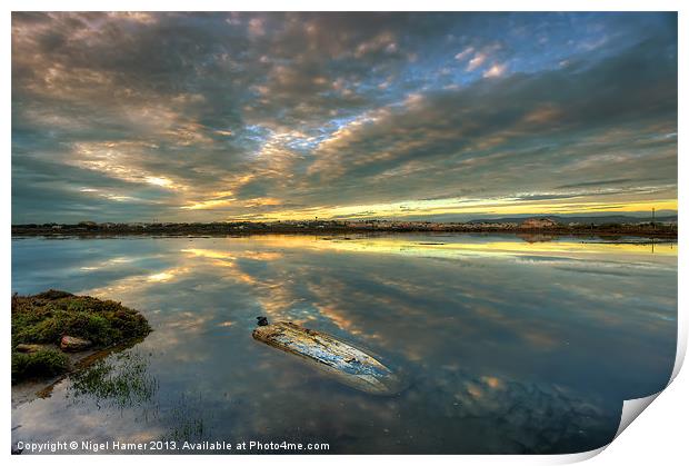 Capsized Print by Wight Landscapes