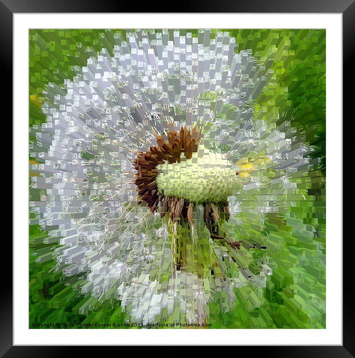 extrusion Abstract dandelion clock! Framed Mounted Print by Paula Palmer canvas