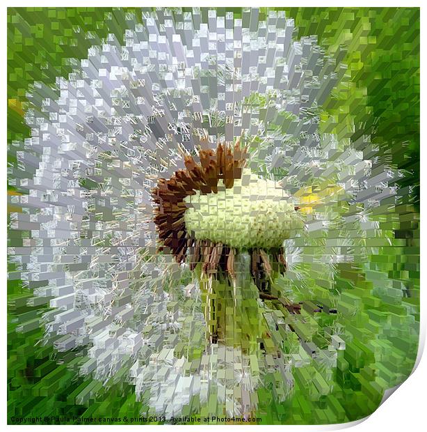 extrusion Abstract dandelion clock! Print by Paula Palmer canvas