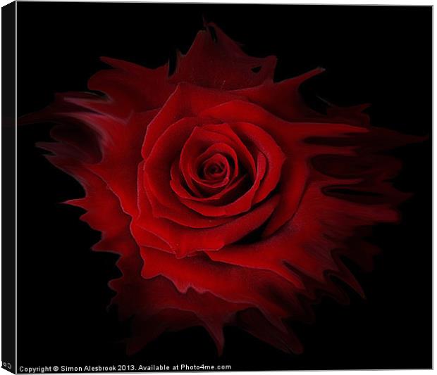 Liquid Rose Canvas Print by Simon Alesbrook