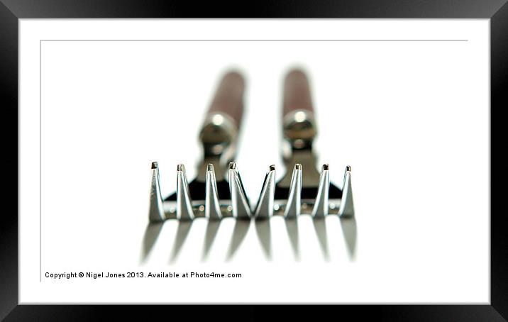 Twin Forks Framed Mounted Print by Nigel Jones
