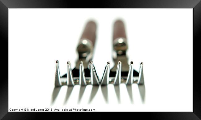 Twin Forks Framed Print by Nigel Jones