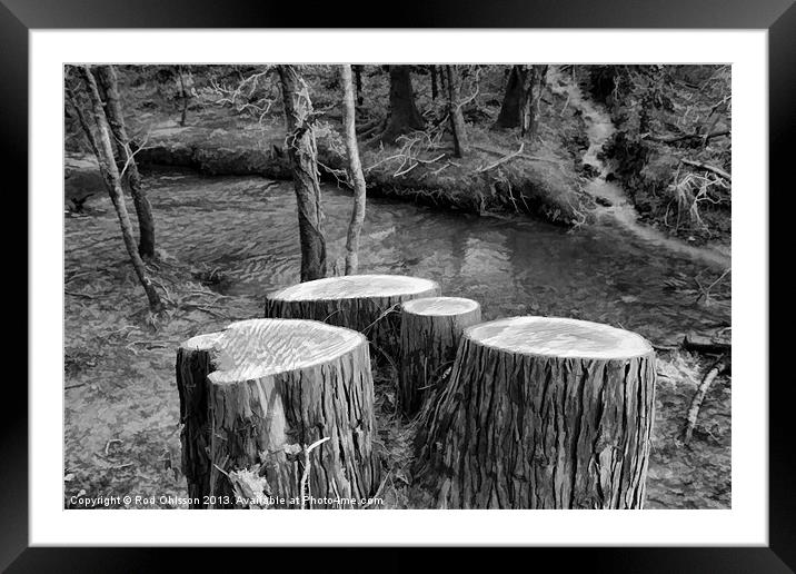 Stumped BW Framed Mounted Print by Rod Ohlsson