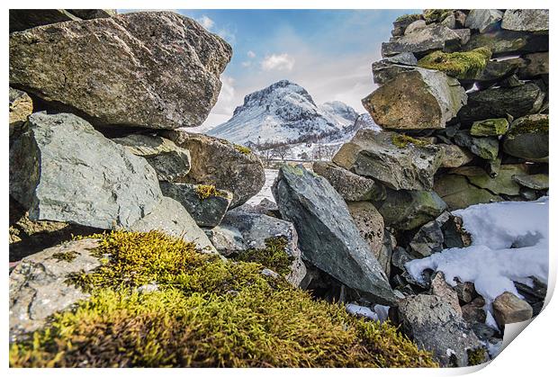 Moss and Mountains Print by Phil Tinkler
