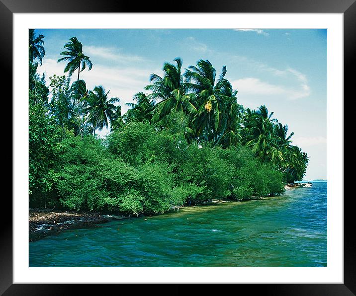 Green Island Framed Mounted Print by Hassan Najmy