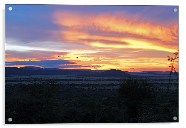 Sun setting over Serengeti Acrylic by Tony Murtagh