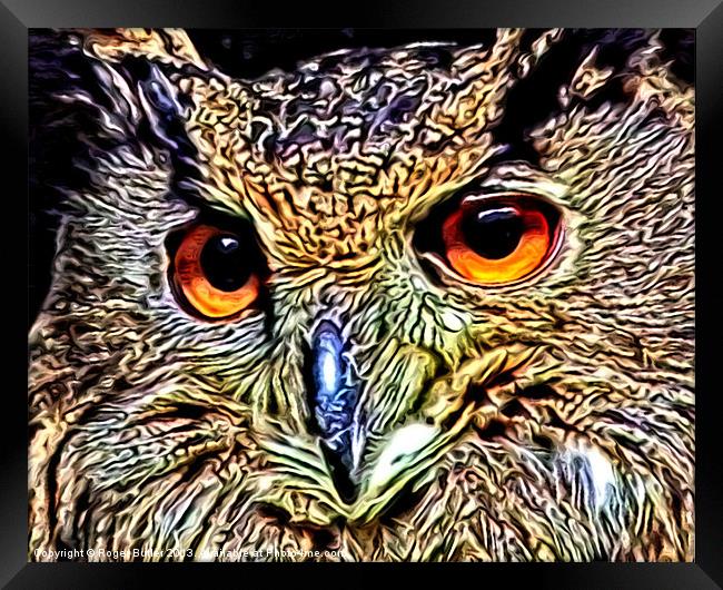 Metallic Owl Framed Print by Roger Butler