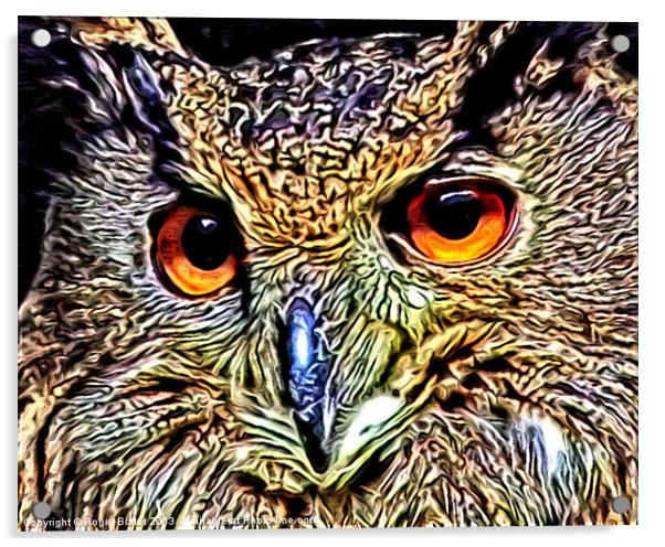 Metallic Owl Acrylic by Roger Butler