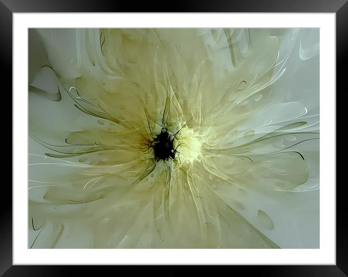 Dew Drops Framed Mounted Print by Amanda Moore