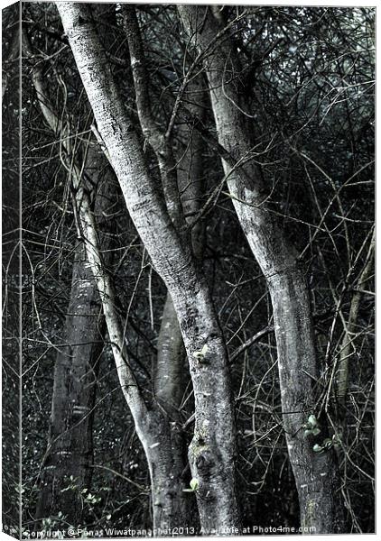 Into the Wood Canvas Print by Panas Wiwatpanachat