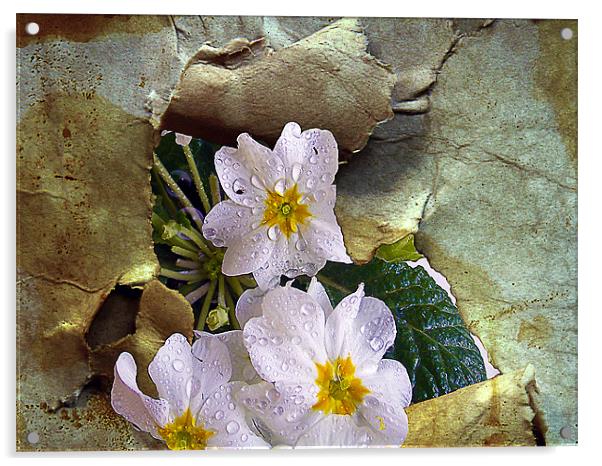 1166-spring flowers Acrylic by elvira ladocki