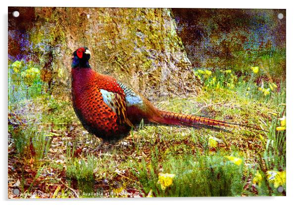 Pheasant Acrylic by Doug McRae