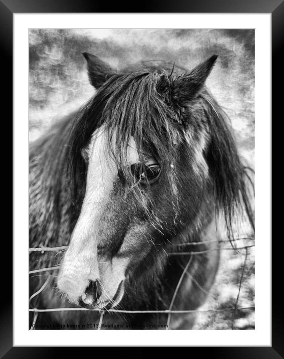 brown pony Framed Mounted Print by Jo Beerens