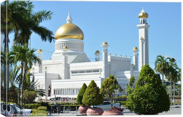 Mosque Canvas Print by Telmo Zaldivar Jr