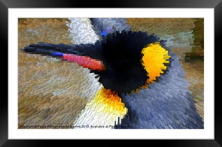 Abstract  King penguin! Framed Mounted Print by Paula Palmer canvas