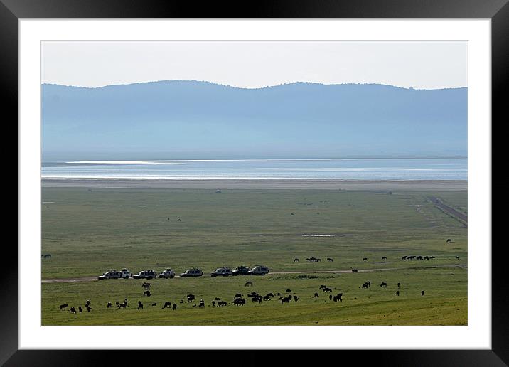 Wildebeest in Ngorongoro Crater Framed Mounted Print by Tony Murtagh