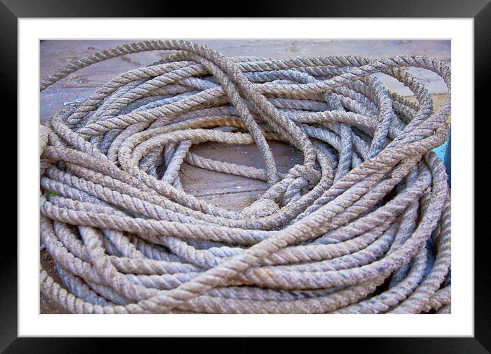 Coil of Rope Framed Mounted Print by Arfabita  