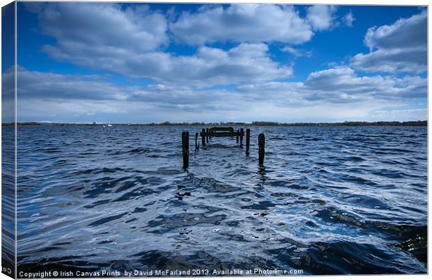 Old jetty on Lough Neagh Canvas Print by David McFarland