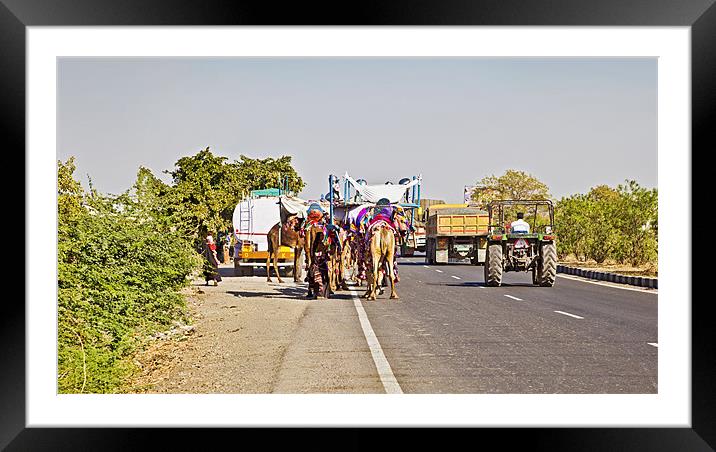 Road congestion Pedestrians Camel Caravan Tractor  Framed Mounted Print by Arfabita  